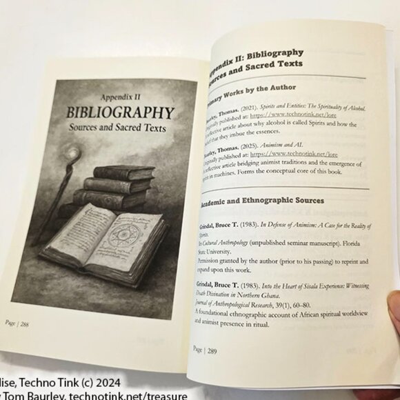 Animism and Ai by Thomas Baurley (Paperback 2025) - Picture 9 of 10